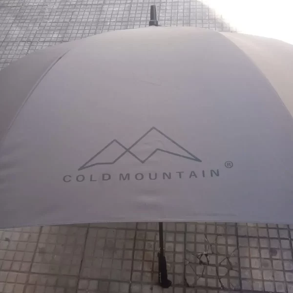 Cold Mountain