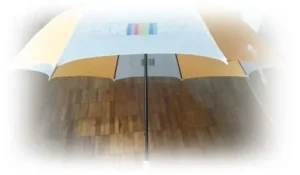 Grande branco laranja